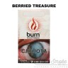 Табак Burn - Berried Treasure (Арбуз с цитрусом и ягодами) 100 гр