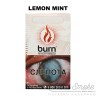 Табак Burn - Lemon Mint (Лимон с мятой) 100 гр